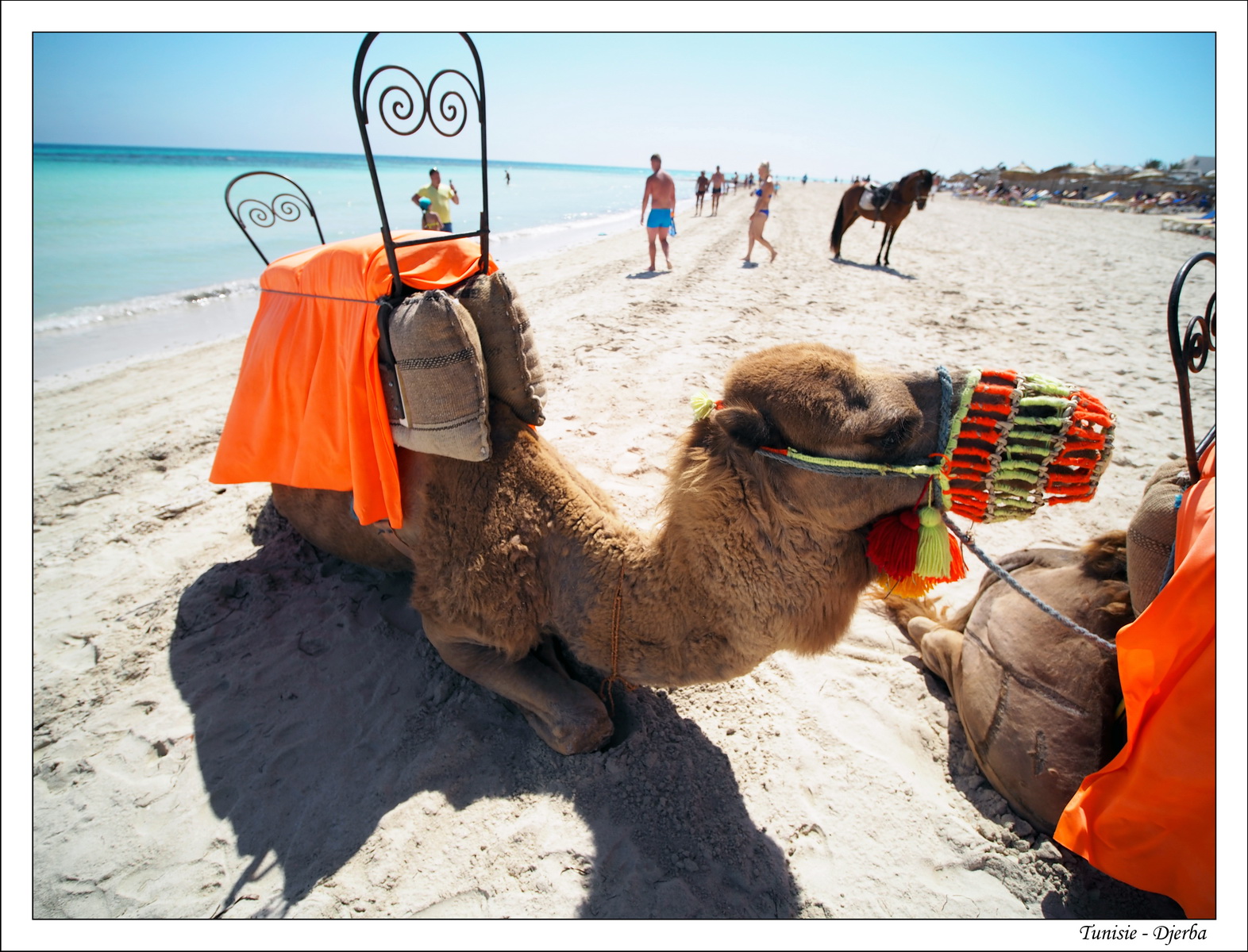 2018 - 05 - Djerba - 40